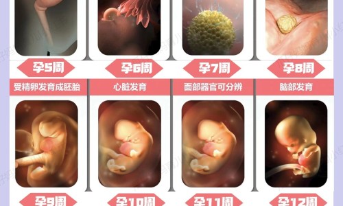 腿疼膝盖疼为什么腿冰出汗网腿疼膝盖疼的最快解决方法知识网站,分享腿疼膝盖疼的最快解决方法大全